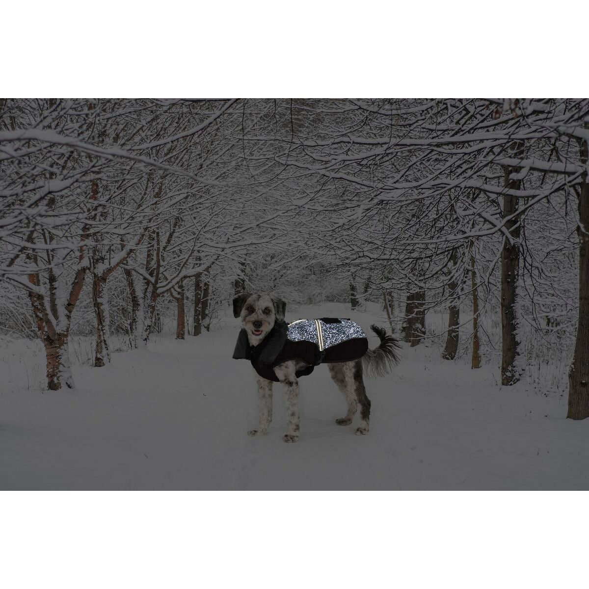 V4H277C3DBE87E9D463995E7B277F270817R5332432P2