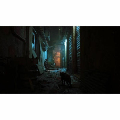 V4HDB3844986E1795D2327A4D4821CF82B1R5317074P5