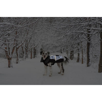 V4H466D8822CFE36BDA144DFD52B82CFE15R5332474P2