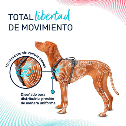 V4H1F3305B144D17C14B29BC0A8FEE14A12R5328453P5