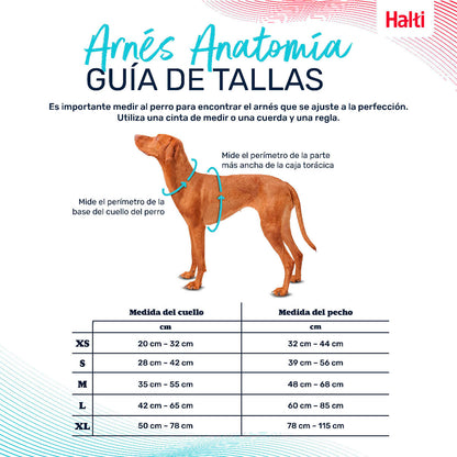 V4H490C5ADF52EDB8C97AF91BDBA83226A9R5328470P4