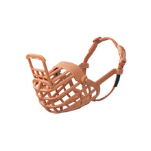 V4H51D0521020F448089F7A8D26FEB13095R5327595P1