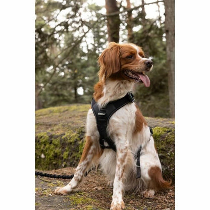 V5H51C327ECA3270343282434A7D34AC4B9R5293602P6