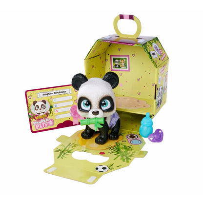 V5H2C37B4C6ACBEA29EB5172DA564EF2BBFR5455081P6