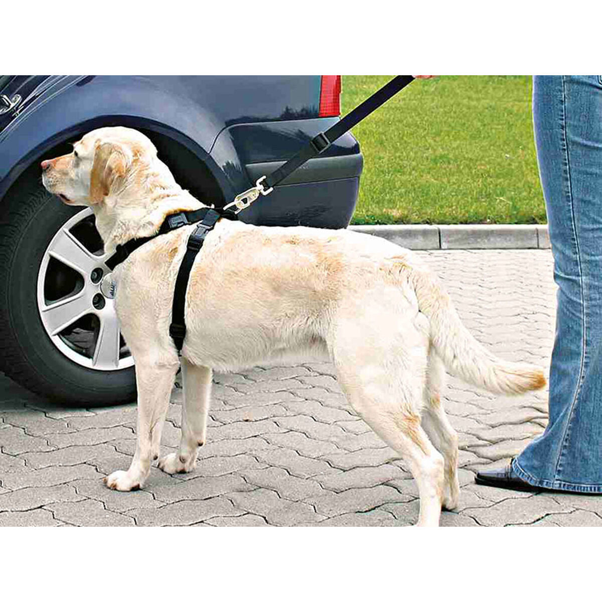 V5HEE5E39E8FEDA3CED9367BD3C5CD4DABAR7448121P2