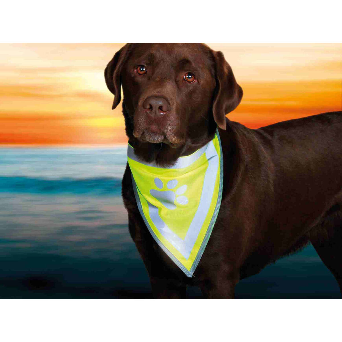 V4HD599EF489754C16536BE7CD305760F19R7440309P5