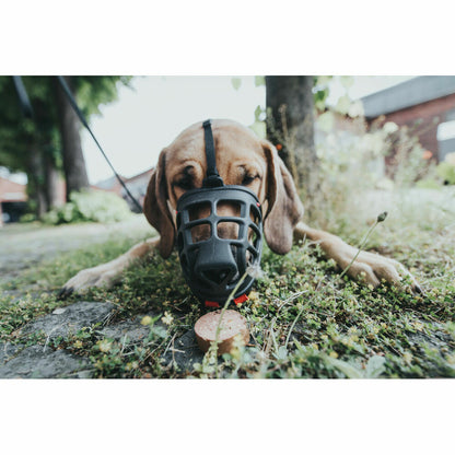 V8HD6ED2A24E27E91DE6A7551B111713AD1R4989128P2