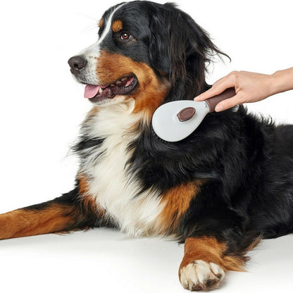 V9HDC1E4F4F9475A1652A878A81C7F37160R4014051P4