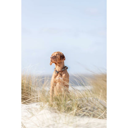 V5HAEFD27DE998AA4C8A581C92B609FE7C8R5330128P10