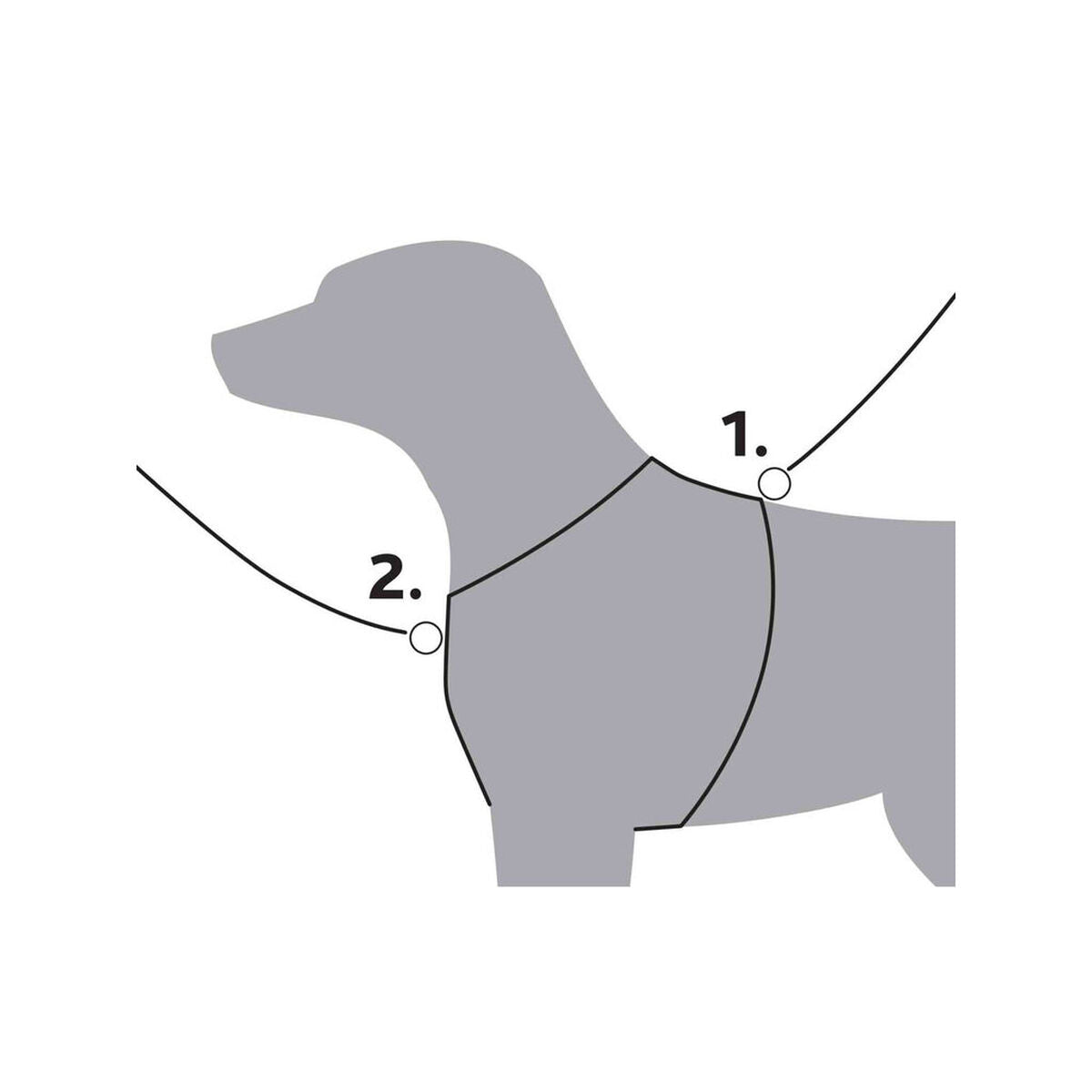 V5HC018C3CB85E6F4A709C9E775923B8CF2R7458985P3