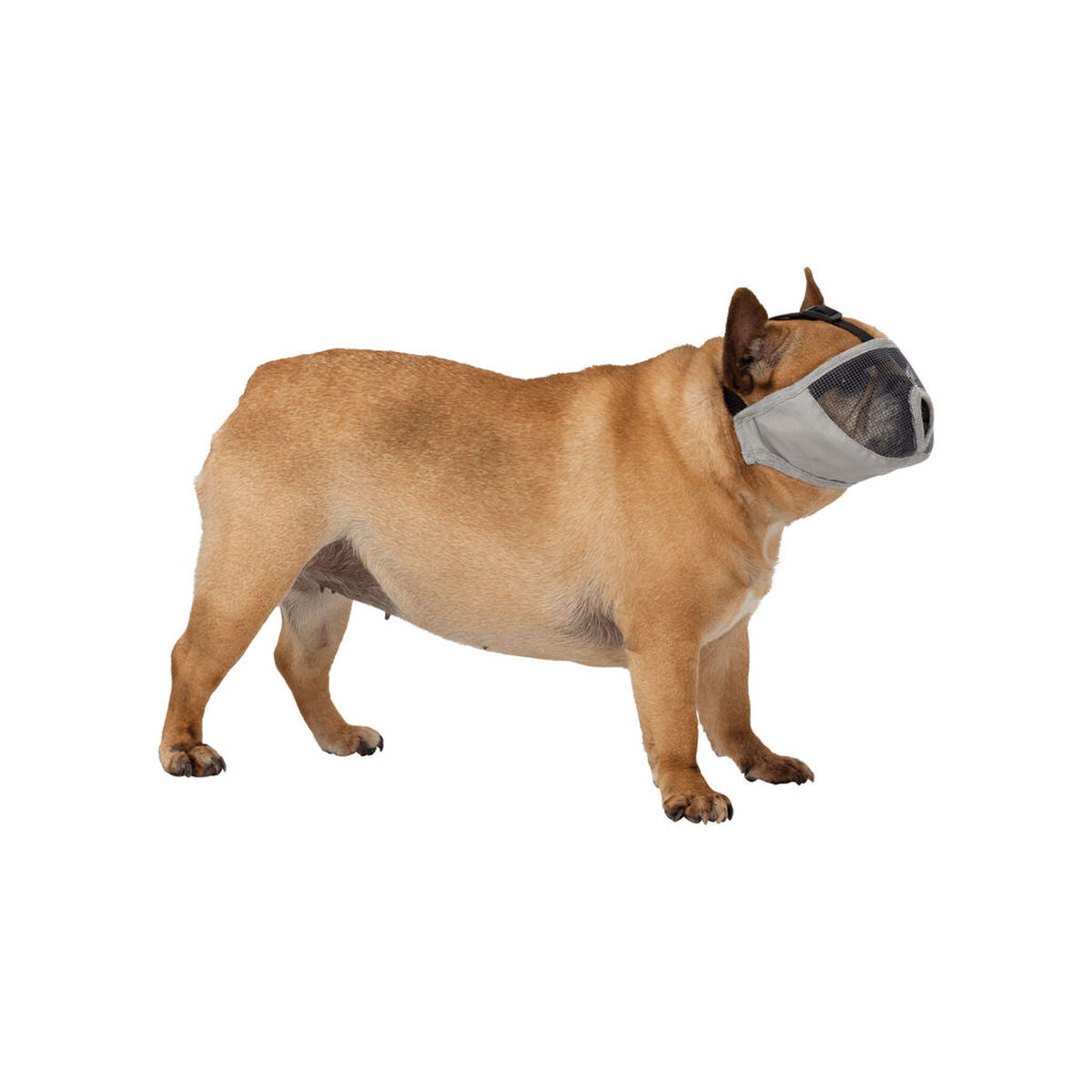 V5H1981D4E16B2E7A2E6625E750A90A5491R7441880P3