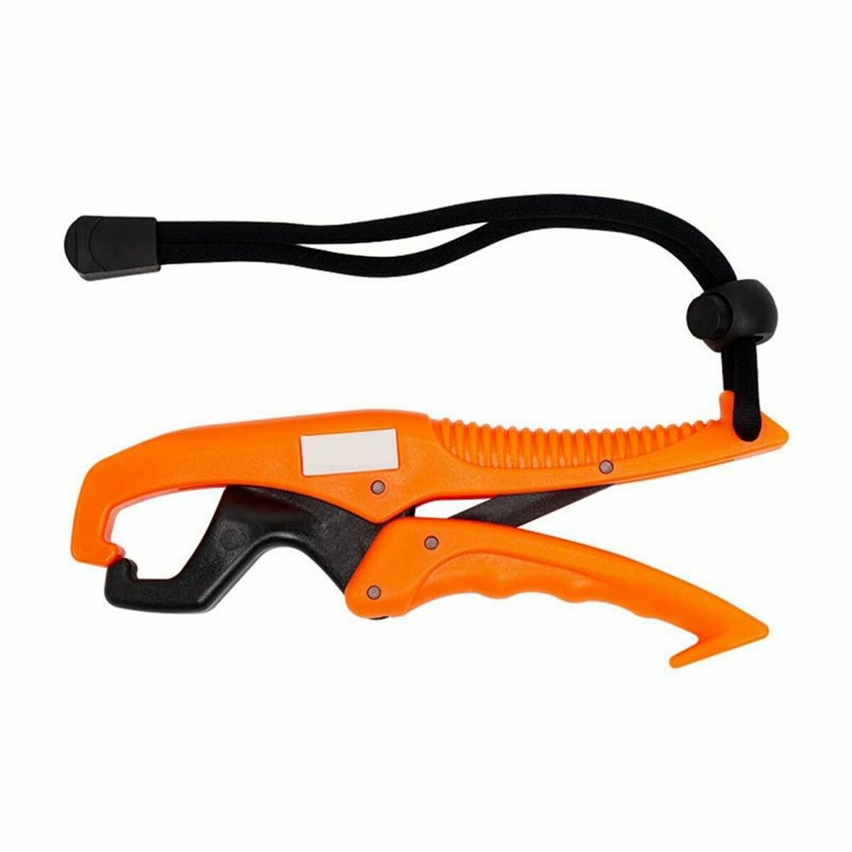 V6H94B3742478472E5CE1F9F16C110F8599R6506894P5