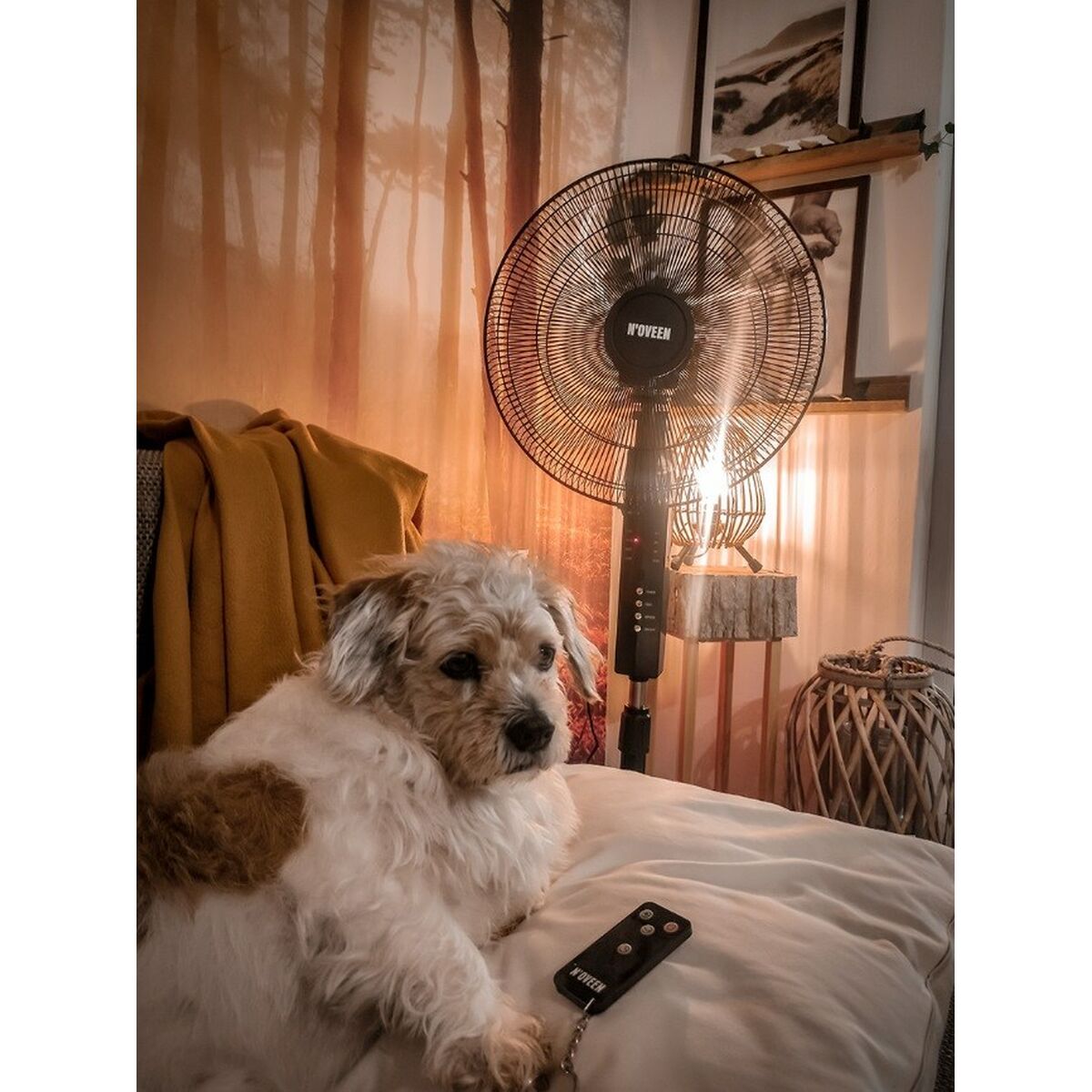 V4H6CDA36C59C3FB156E01A99A357549A25R6338650P5