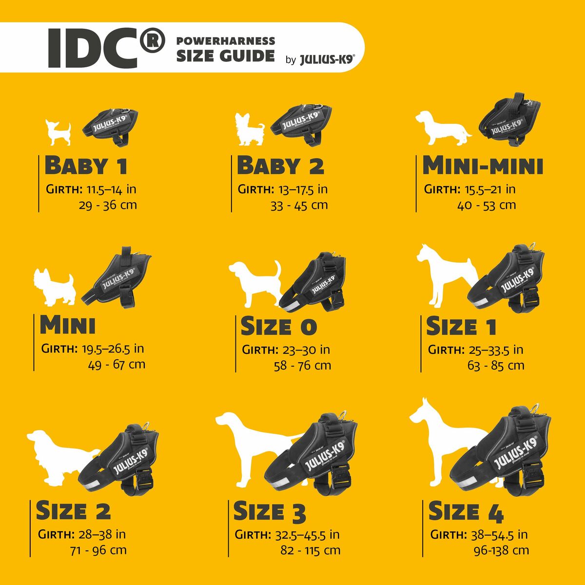 V5HD62B6173F4652DB7AC967E3CAF0ACA1CR5329076P2