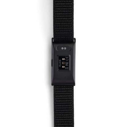 V2H6C58164B5118CE6E4FAFFFA89915D4C1R7477288P2