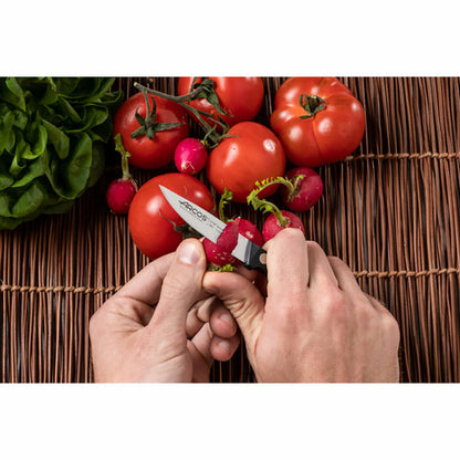 V4H12DBE434B55288953961553F8AF88050R6256498P6