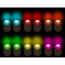 V7HC5F00107B2A838A17DE6B6B0FEAE2AD4R3649188P2