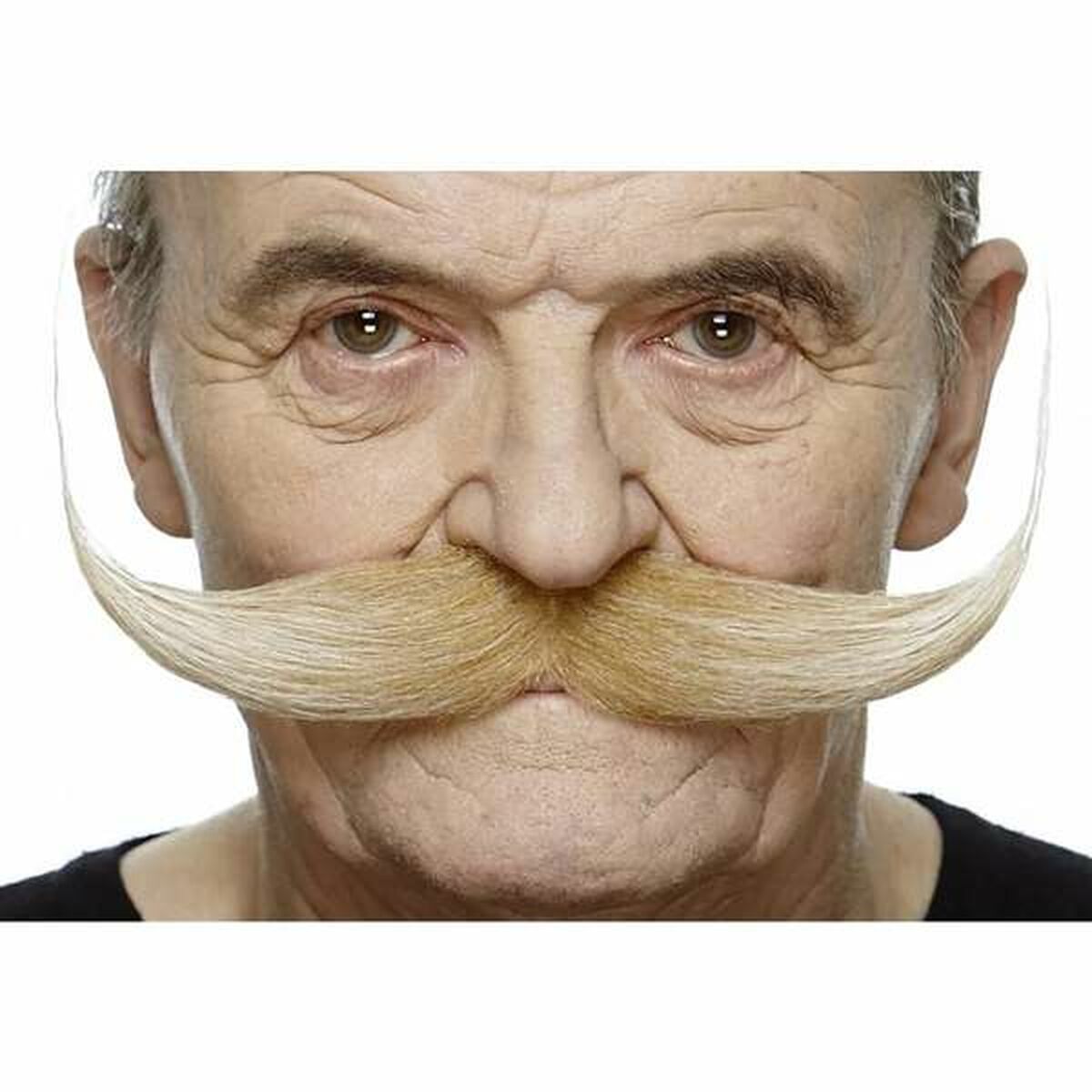 V5H54C8A02EF864958D0F6373E372C86D0DR7381933P1