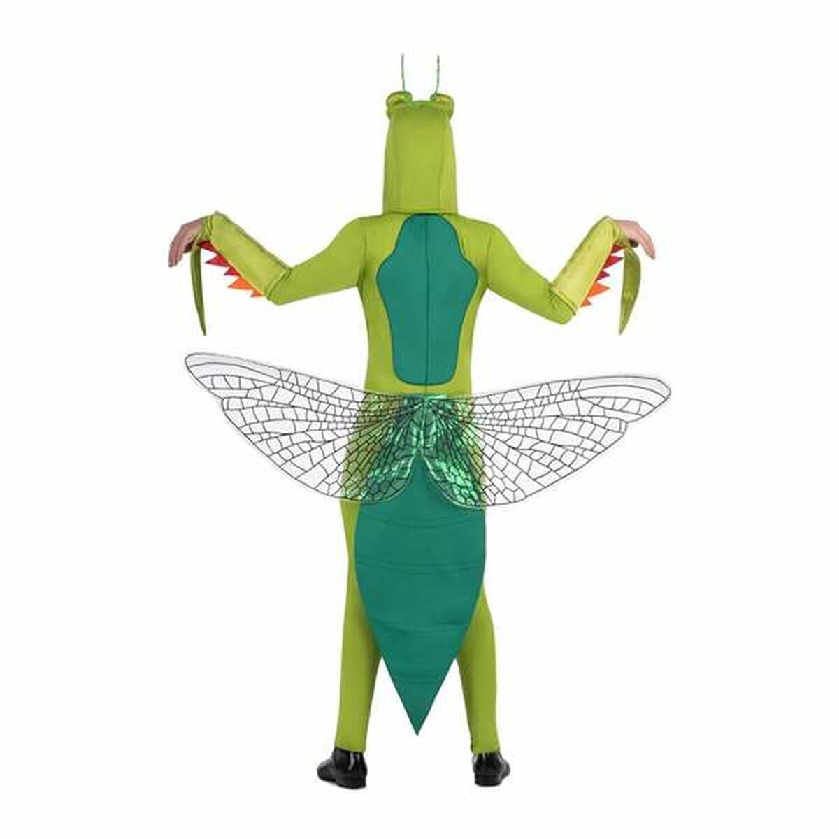 V6HCA39A268DF9F5D2D72FDC57BAB9786AFR7081830P2