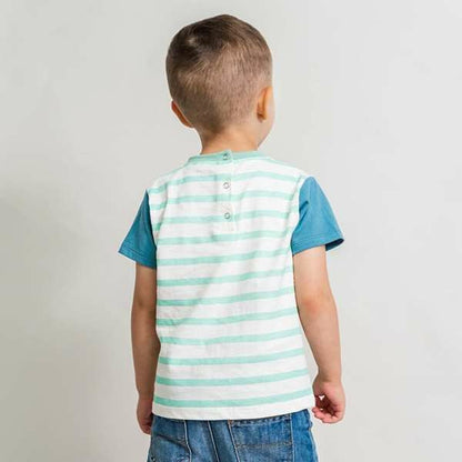 V2H229663F137E3E903140B838DEE23855BR5588095P3